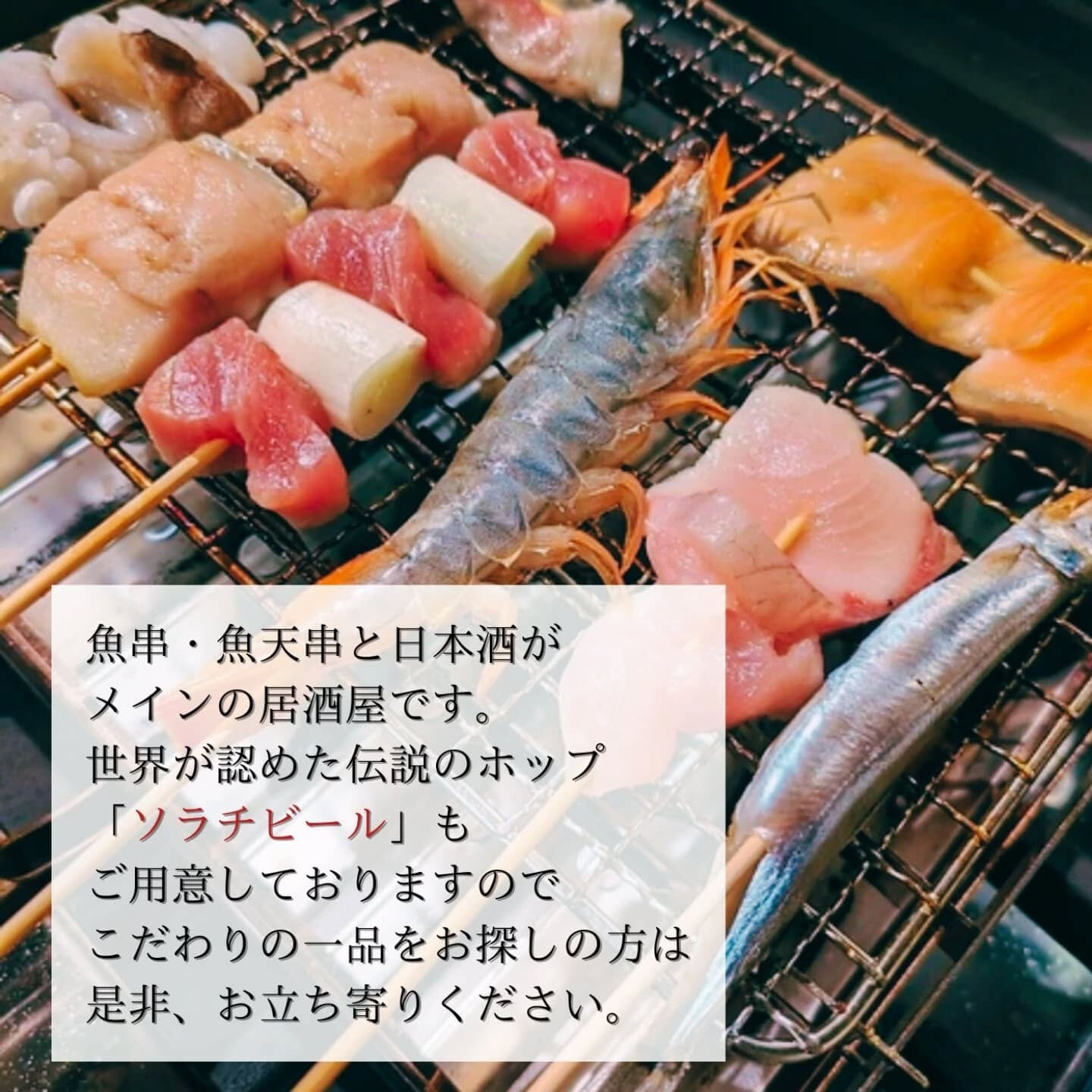 あんごの娘の妹が5月8日にデビューしました。